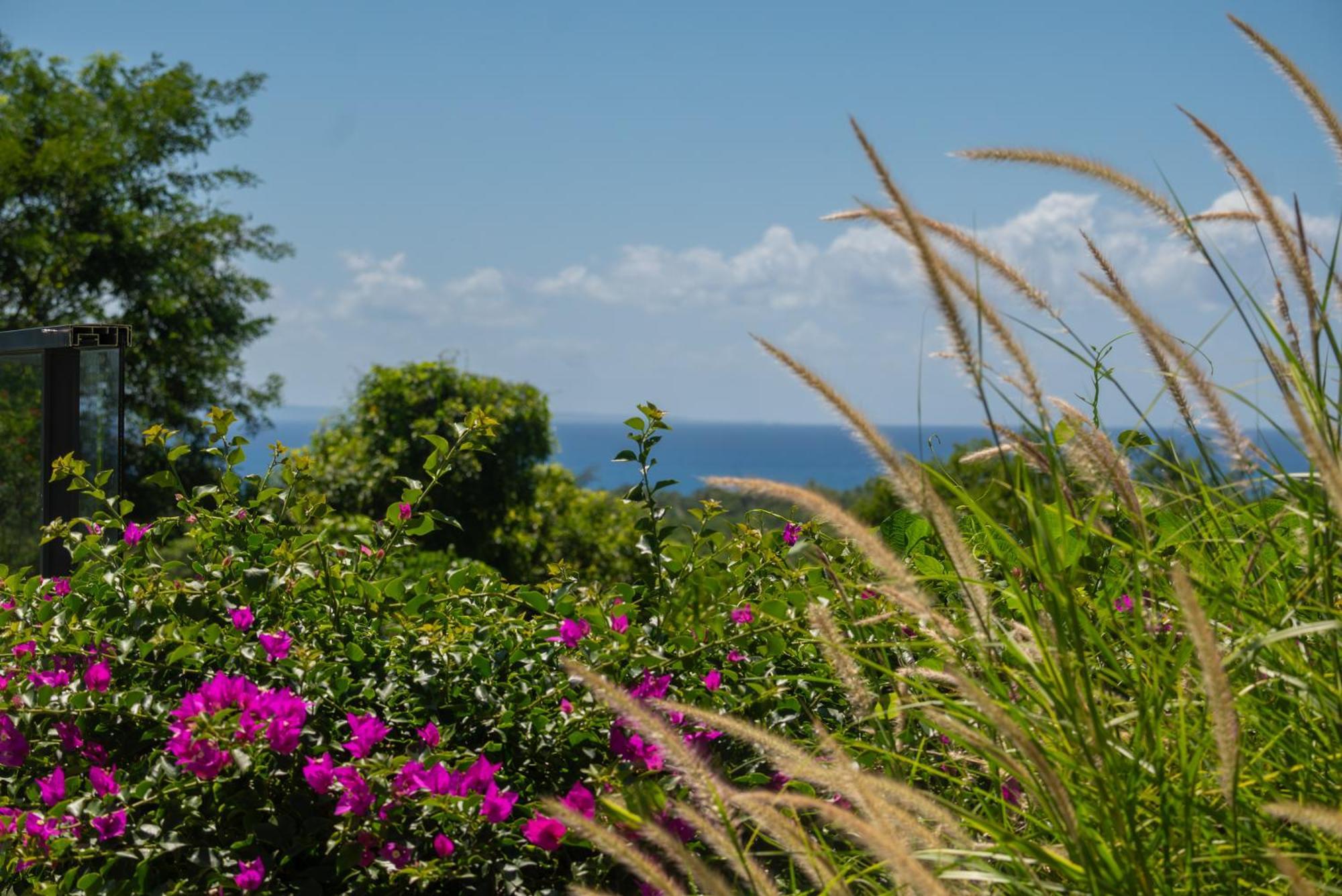 Tropic & Chic Villa Sainte-Anne  Exterior photo